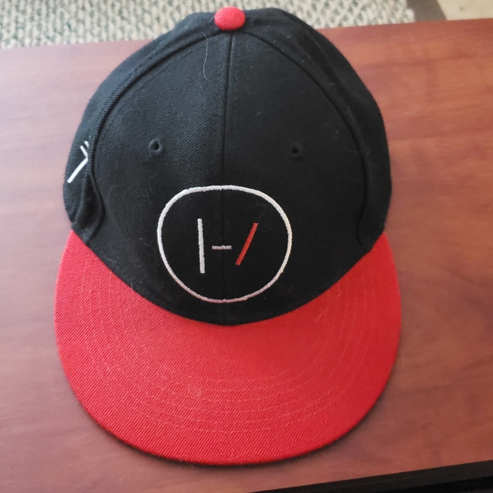 Twenty one pilots snap back